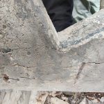 IMG_20211112_131230