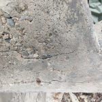 IMG_20211112_131232