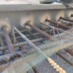 IMG_20220209_115037