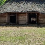 IMG_20220802_144934