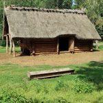 IMG_20220802_144956